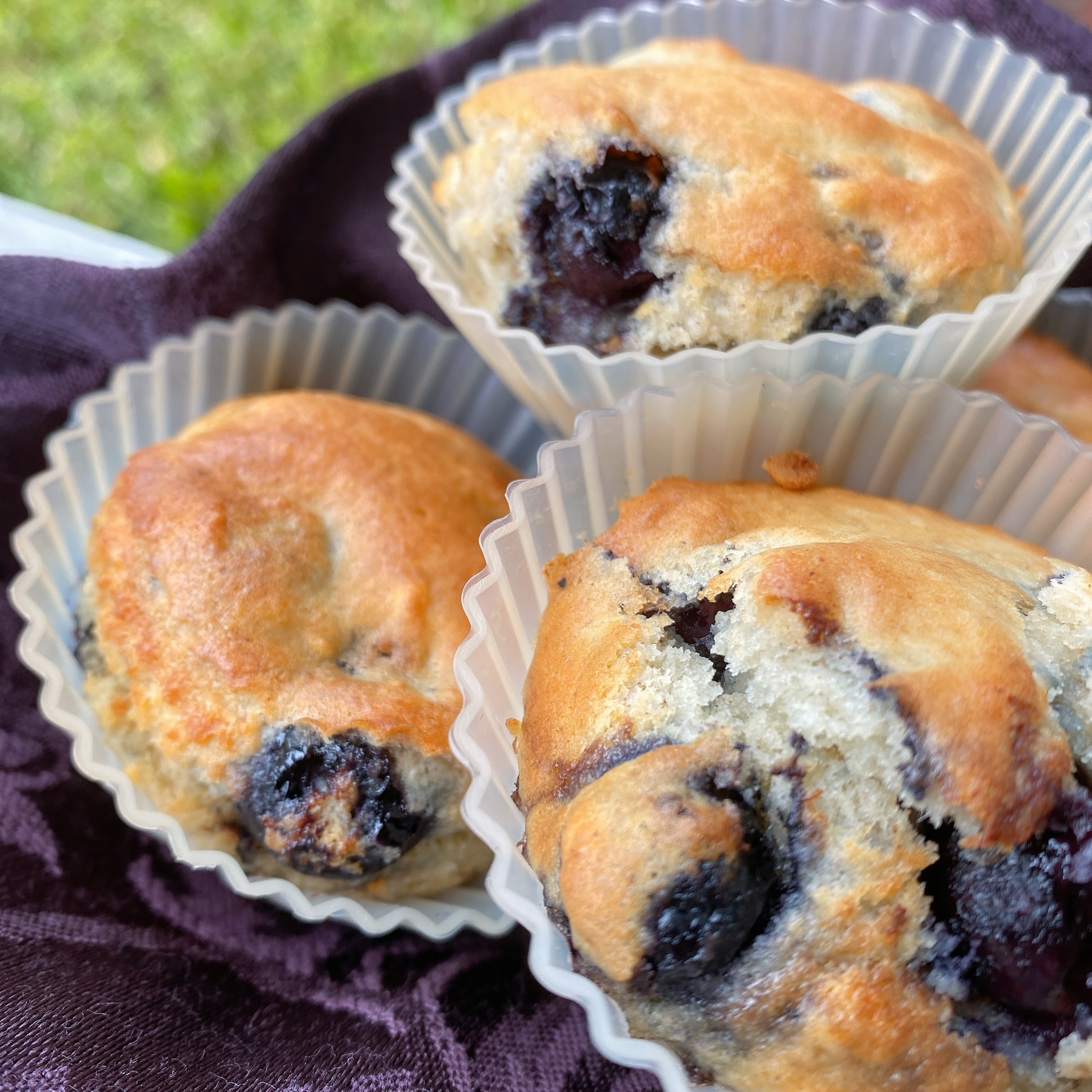 Air Fryer Blueberry Muffins