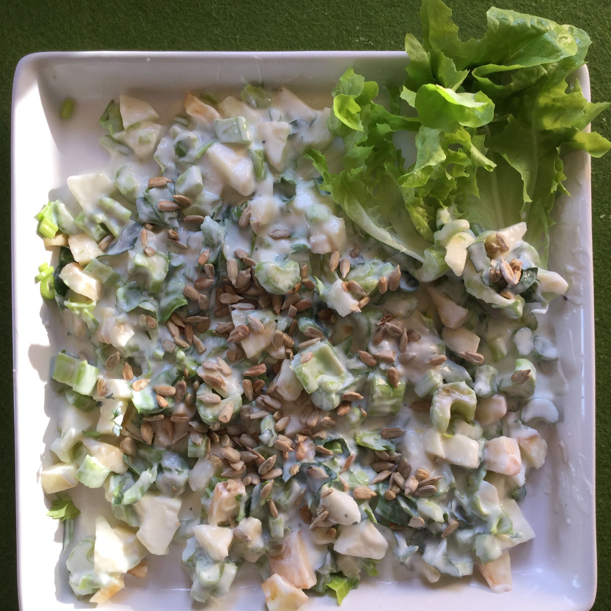 Apple-Celery Salad with Yogurt Dressing