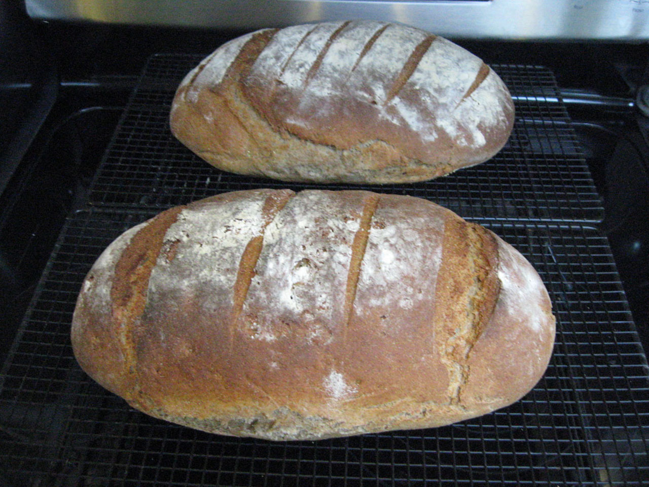 Authentic German Bread (Bauernbrot)