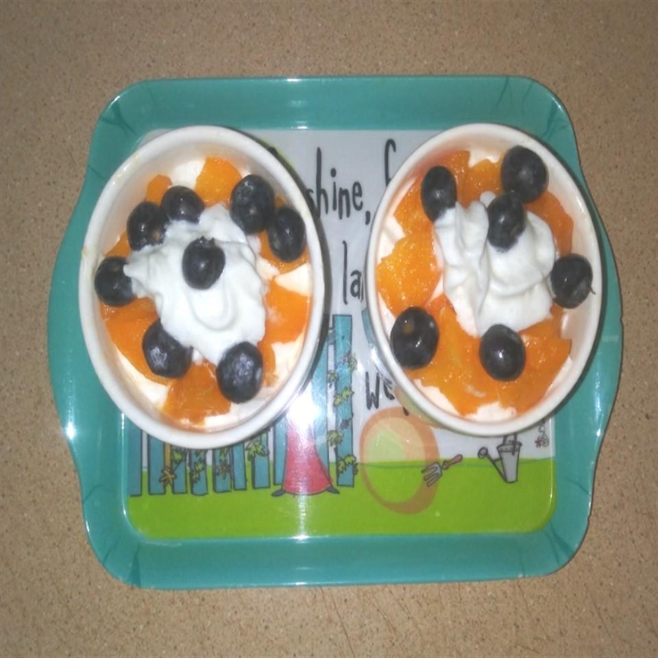 Blueberry and Apricot Dessert