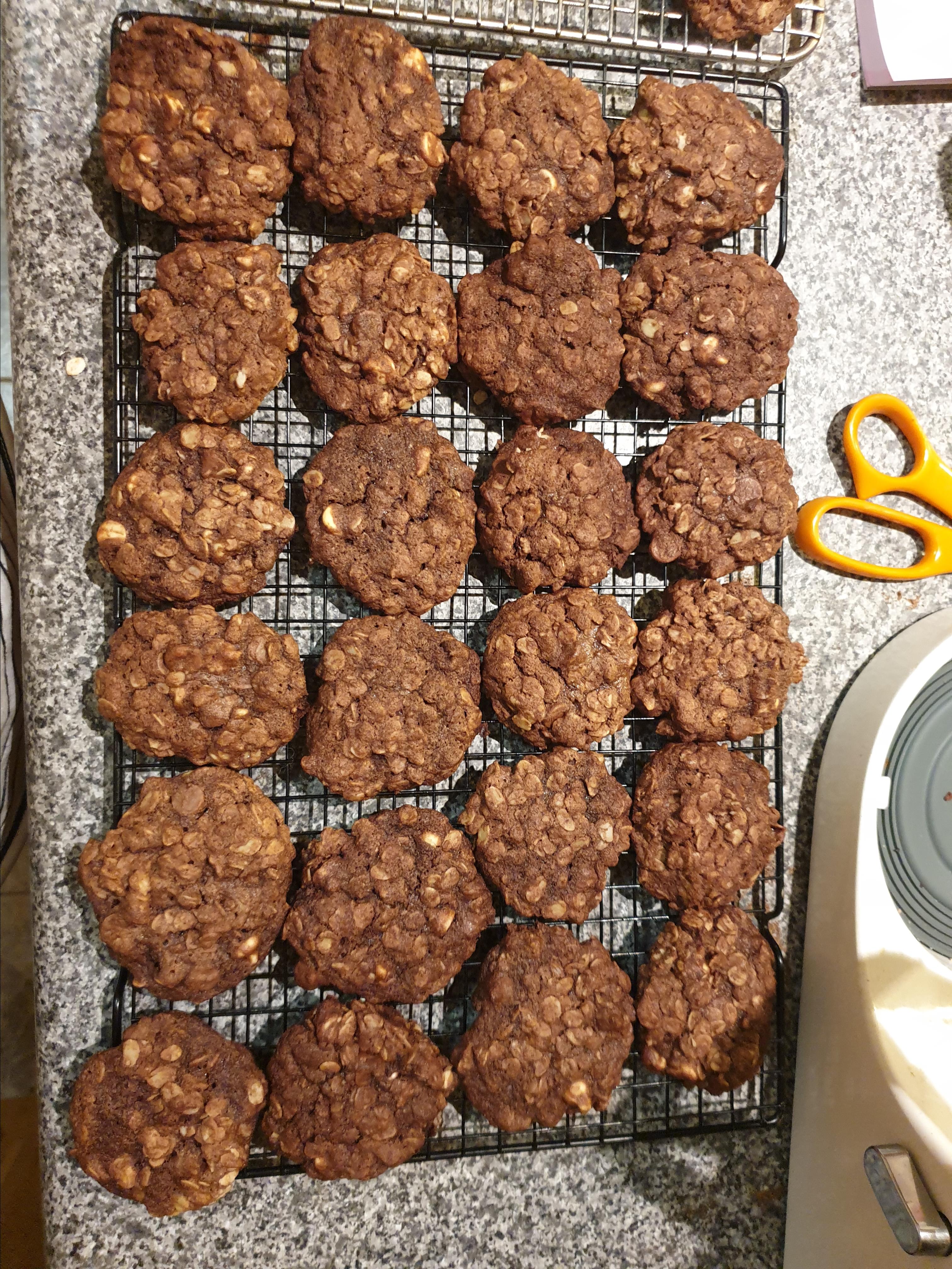 Chewy Double-Chocolate Lactation Cookies