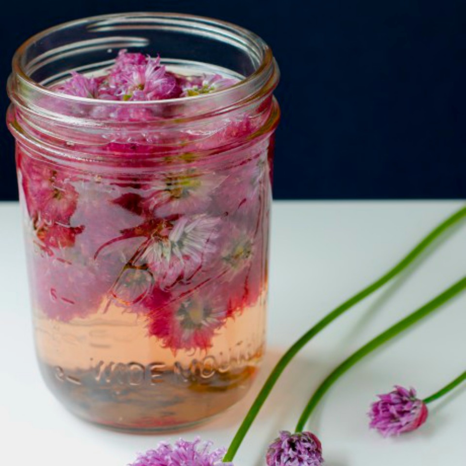 Chive Blossom Infused Vinegar