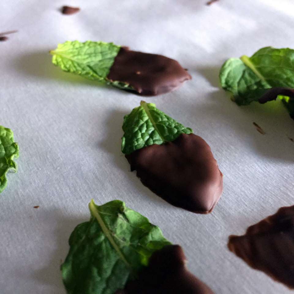 Chocolate-Covered Mint Leaves