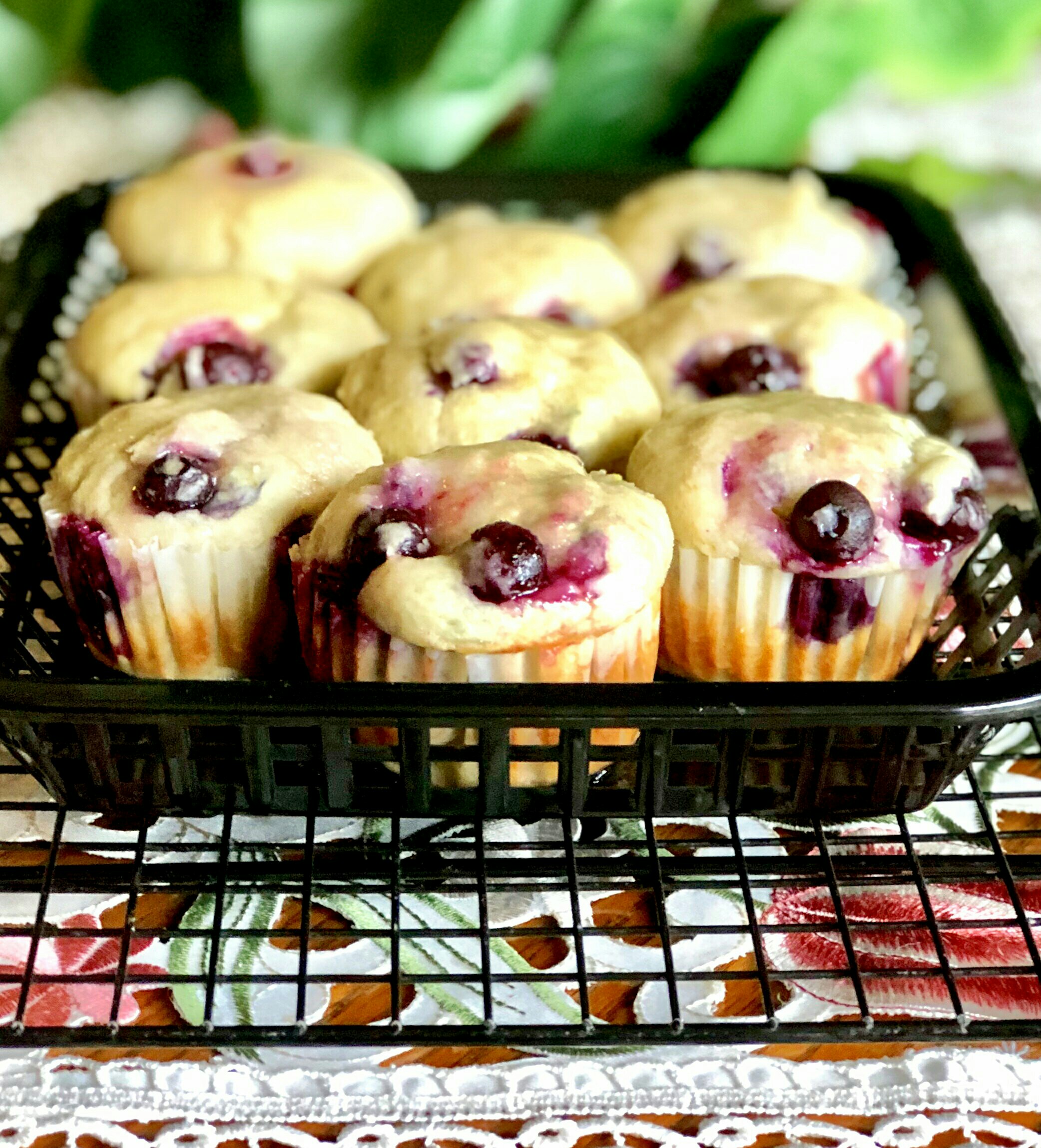 Dairy-Free Breakfast Blueberry Cheesecake Muffins
