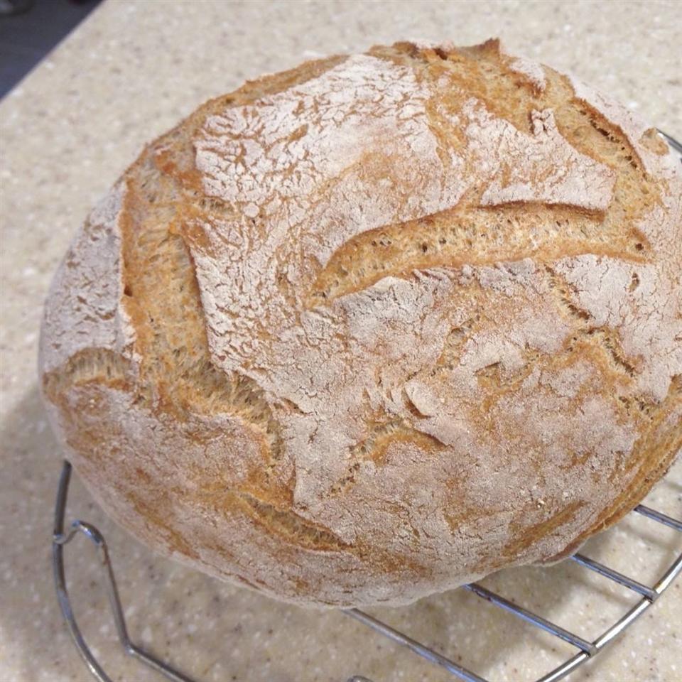 Dutch Oven Whole Wheat Bread
