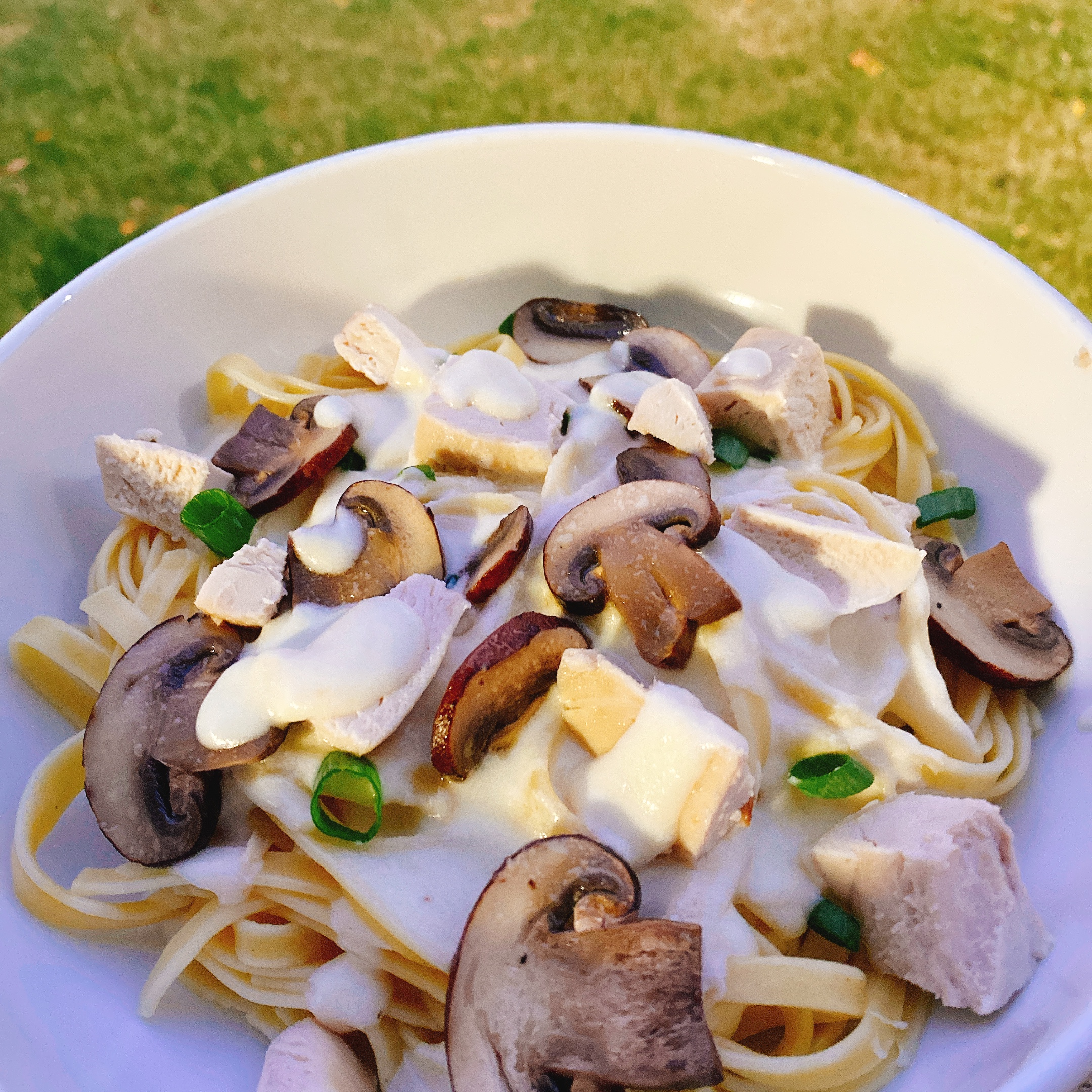 Fettuccine Alfredo with Mushrooms and Chicken