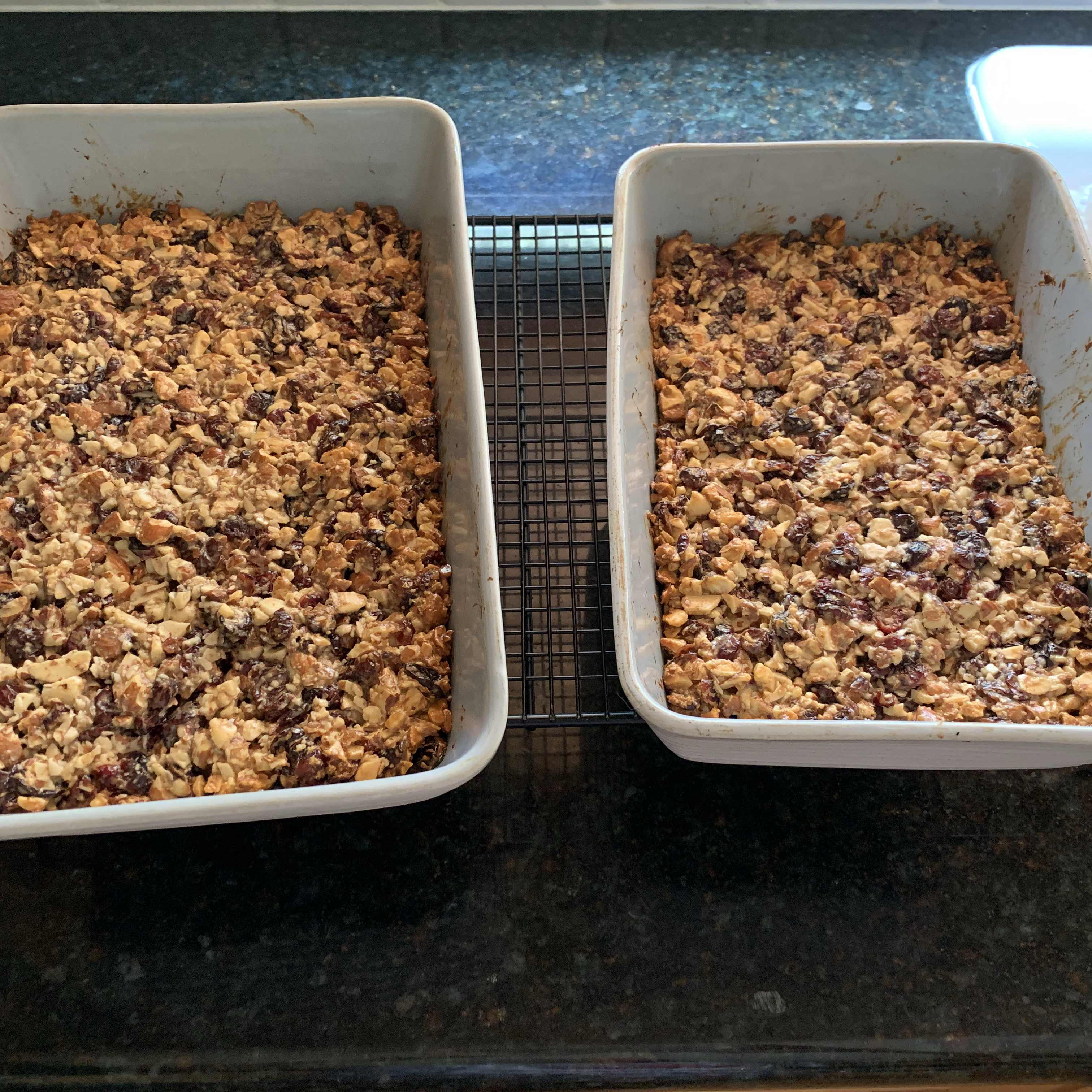 Gluten-Free Fruit and Nut Bars