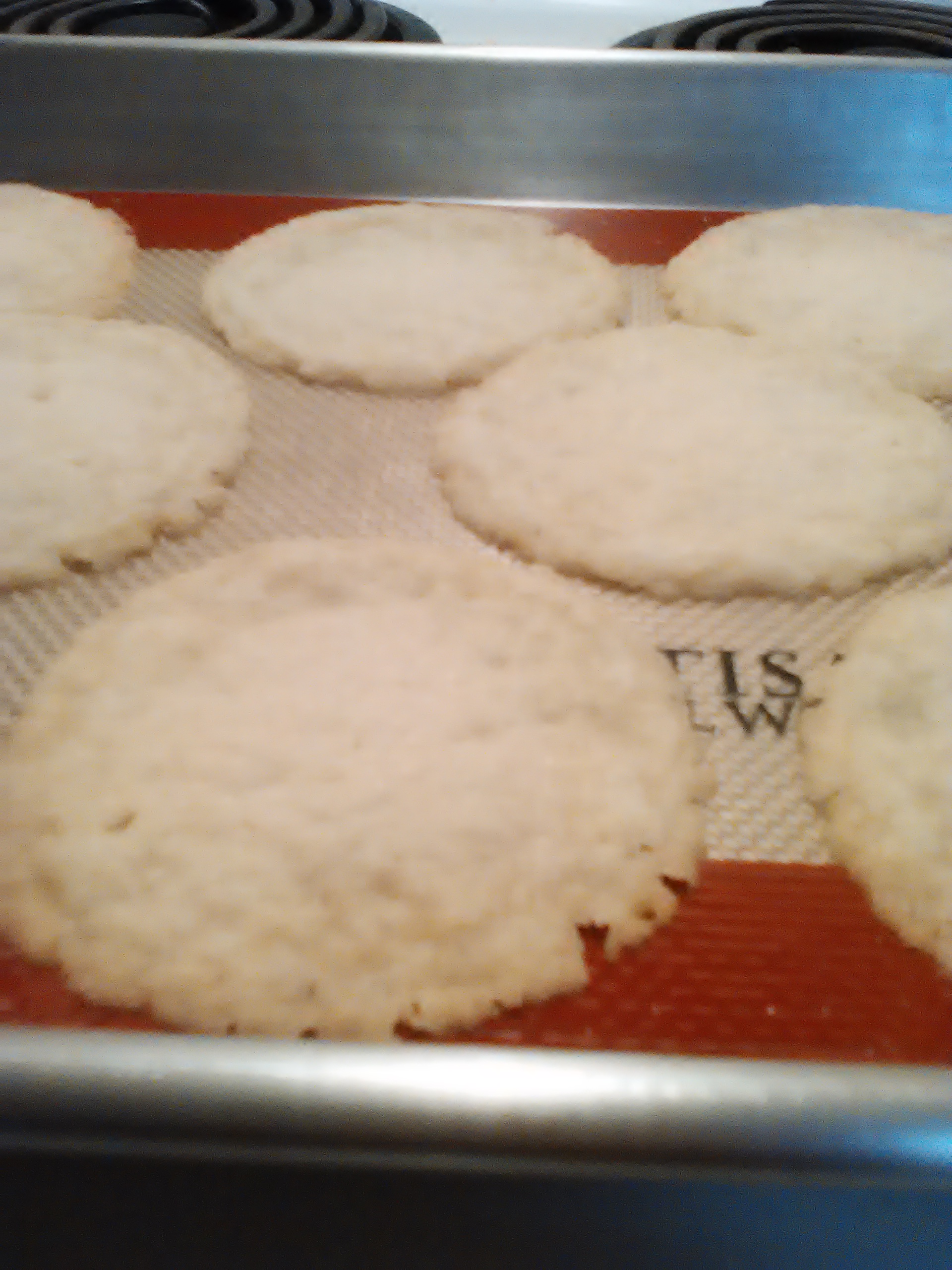 Holland Butter Cookies