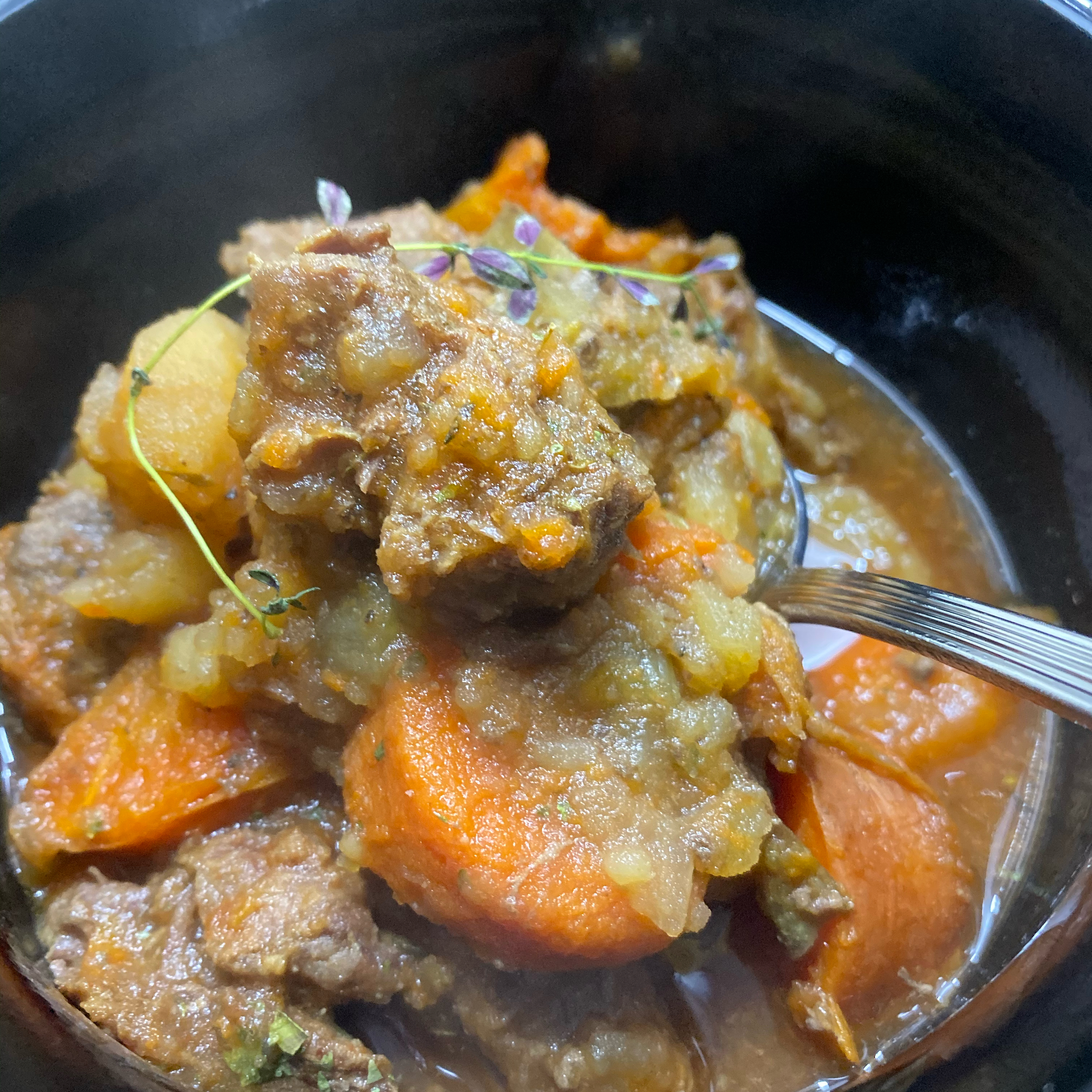 Instant Pot® Beef Stew with Frozen Meat