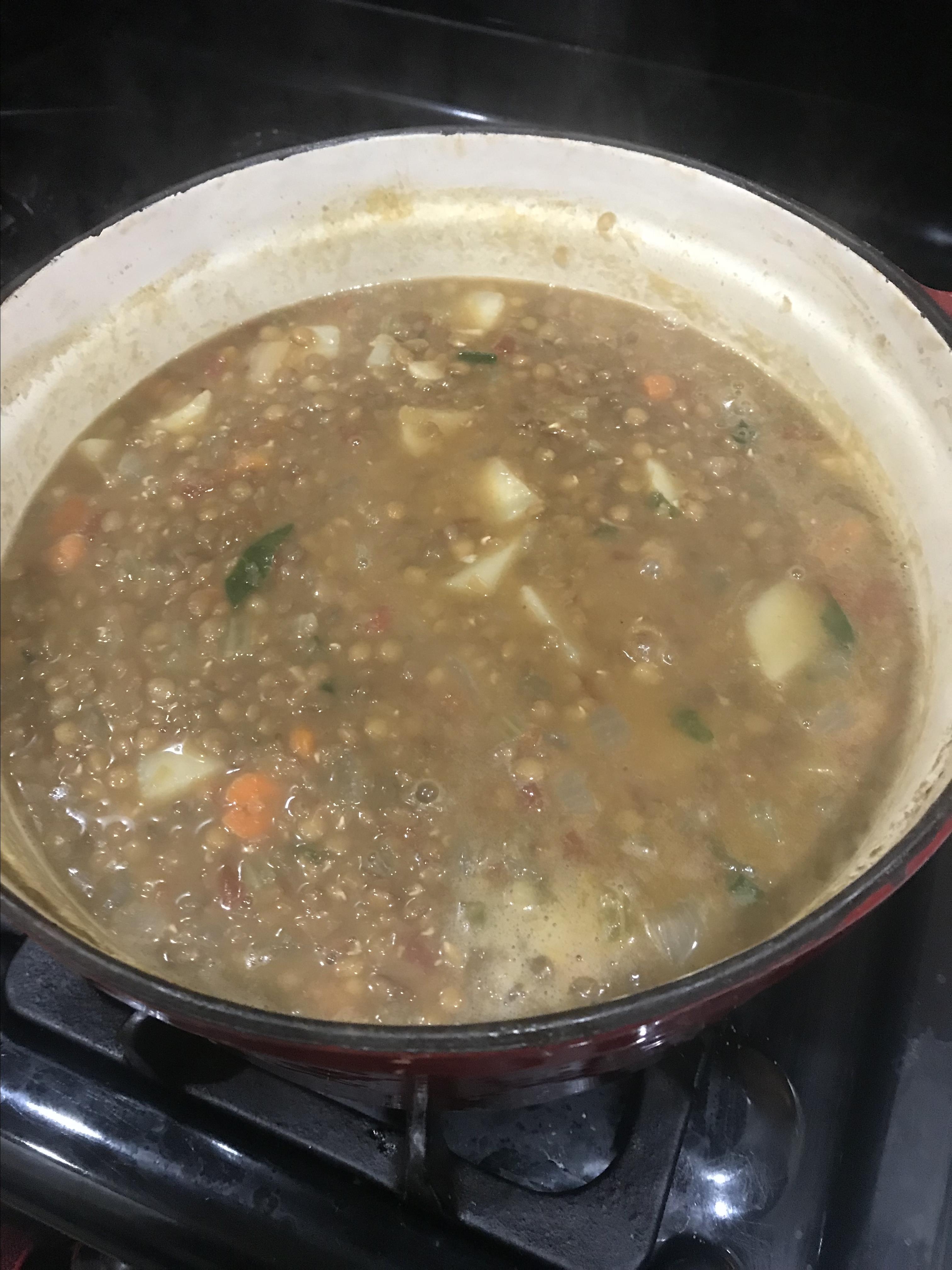 Lentil Soup I