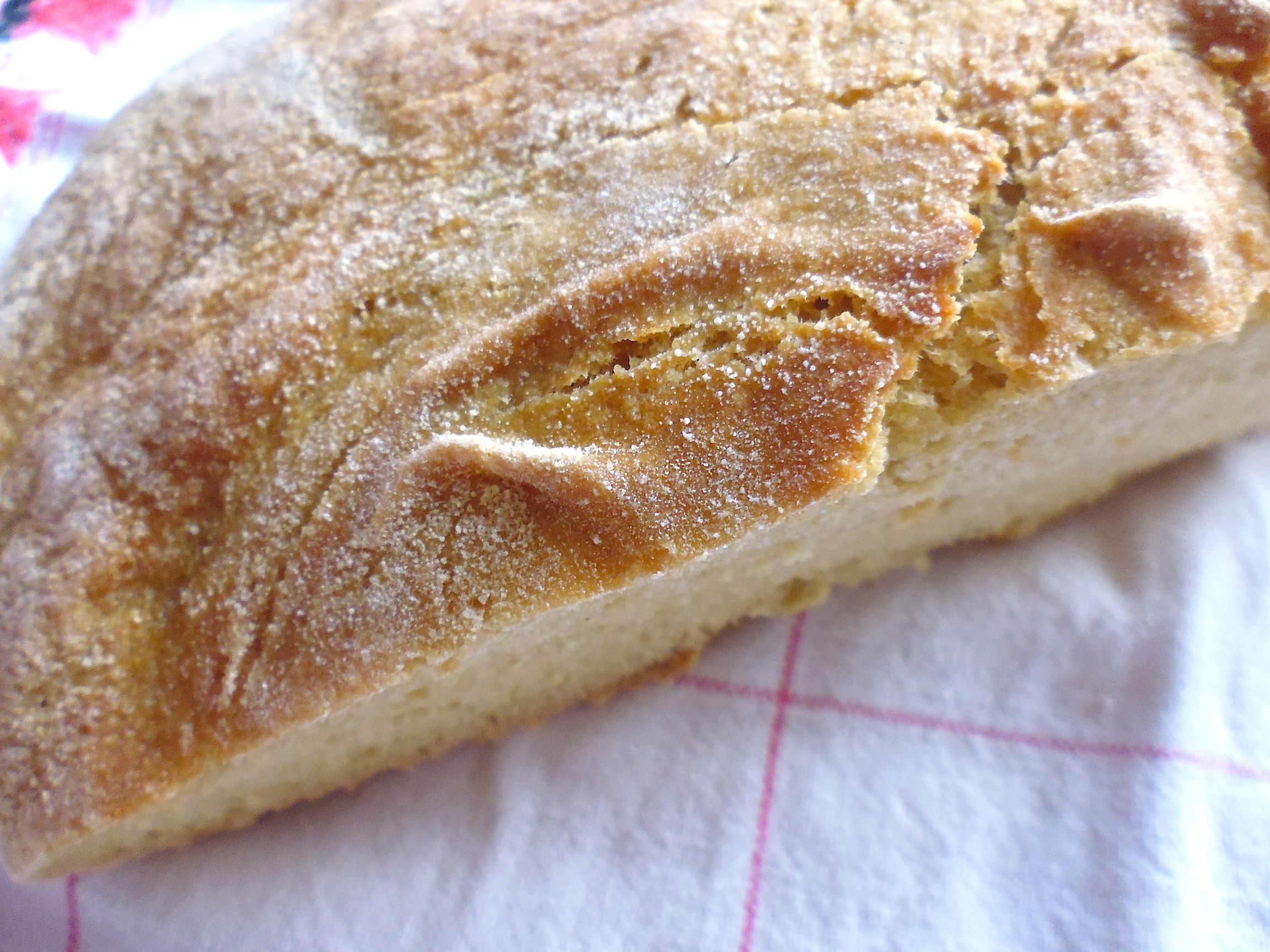 No-Knead Whole Wheat Bread with Sorghum Flour
