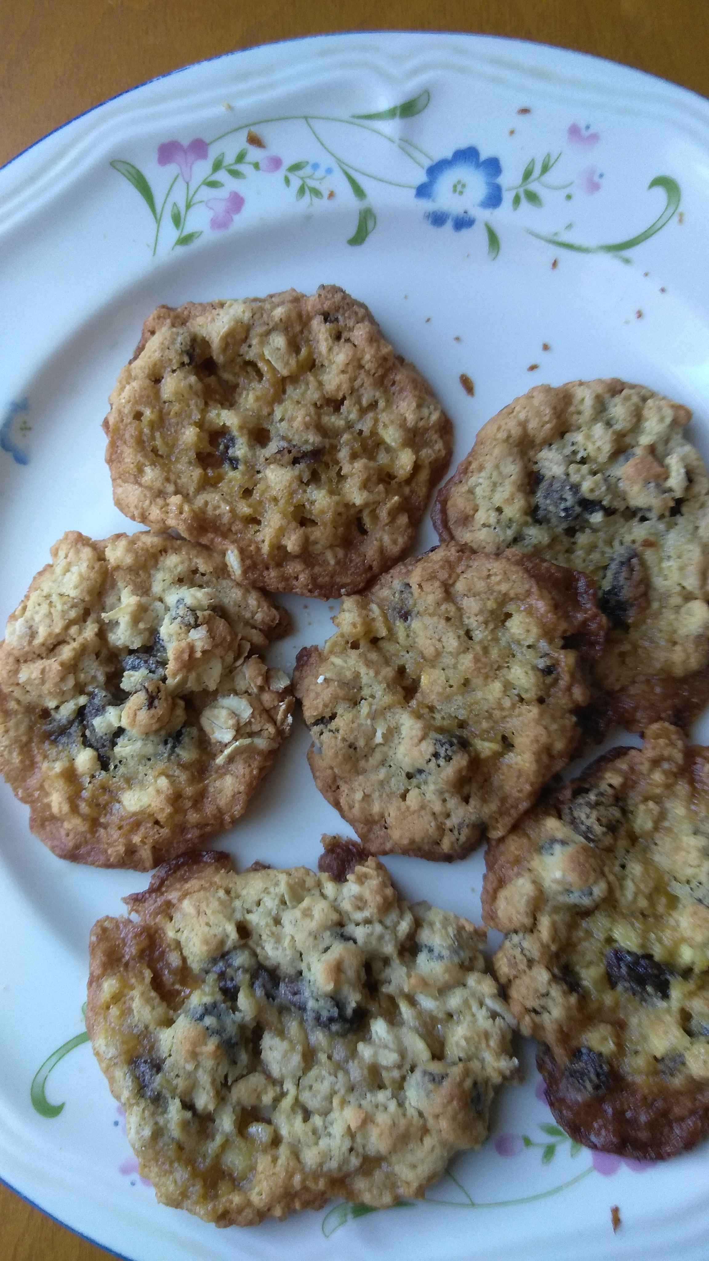 Oatmeal Raisin Cookies VII