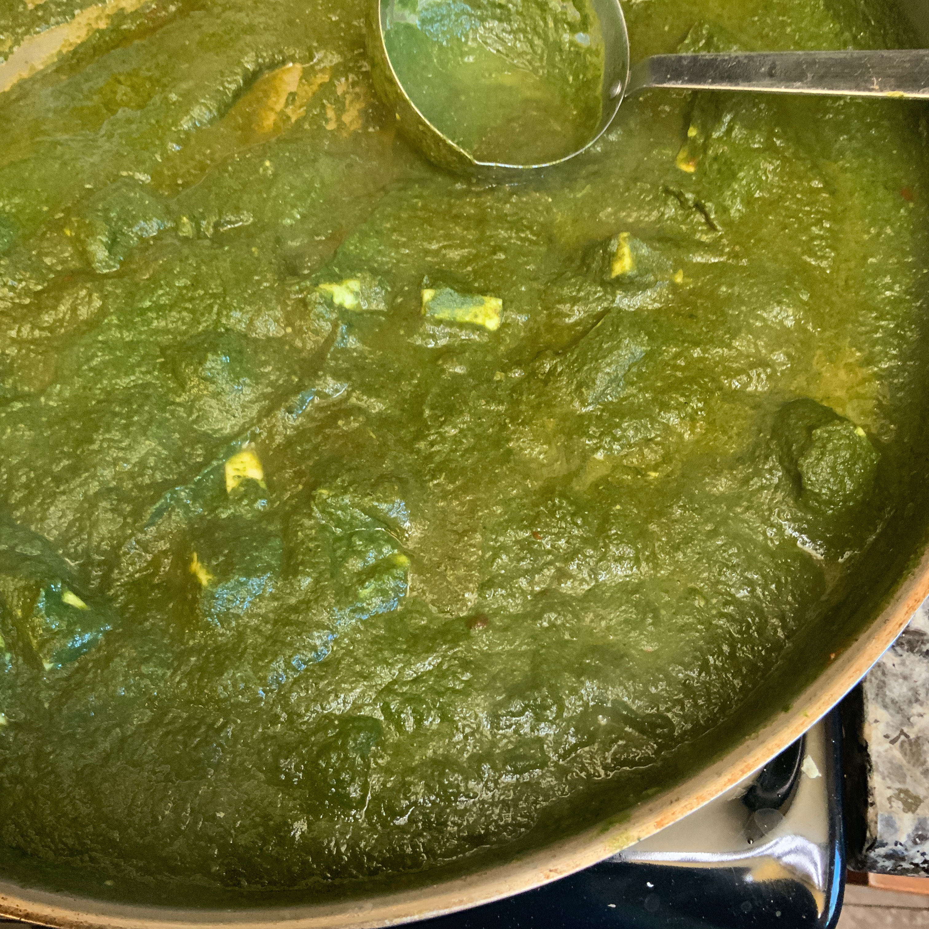 Palak Paneer (Spinach Curry)