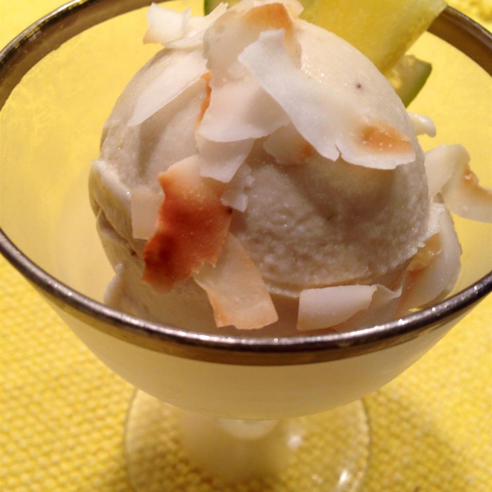 Paleo Tropical Ice Cream