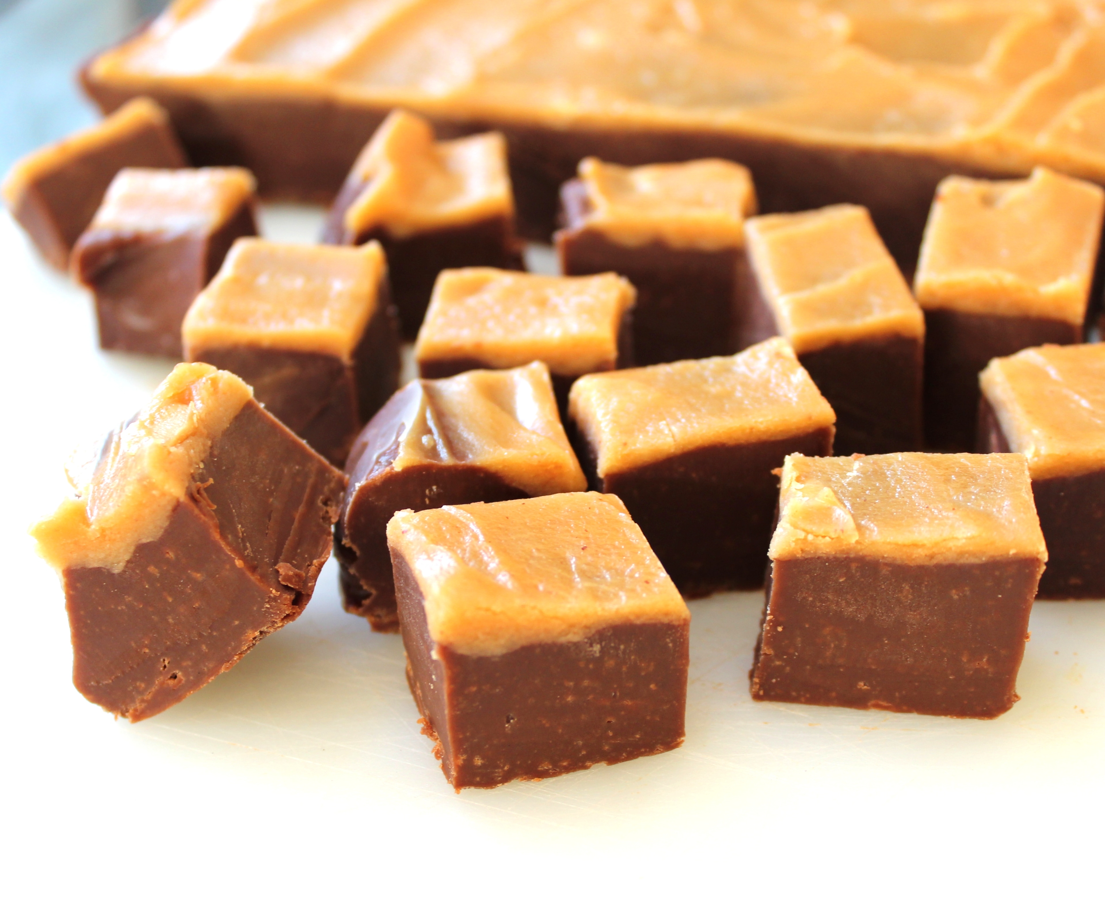 Peanut Butter and Chocolate Fudge