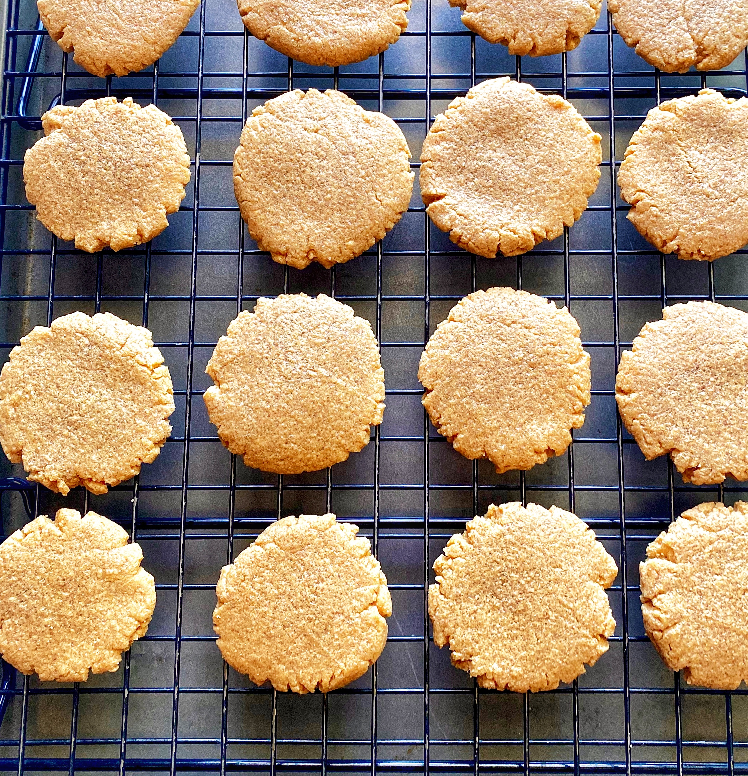 Protein-Packed Peanut Butter Cookies