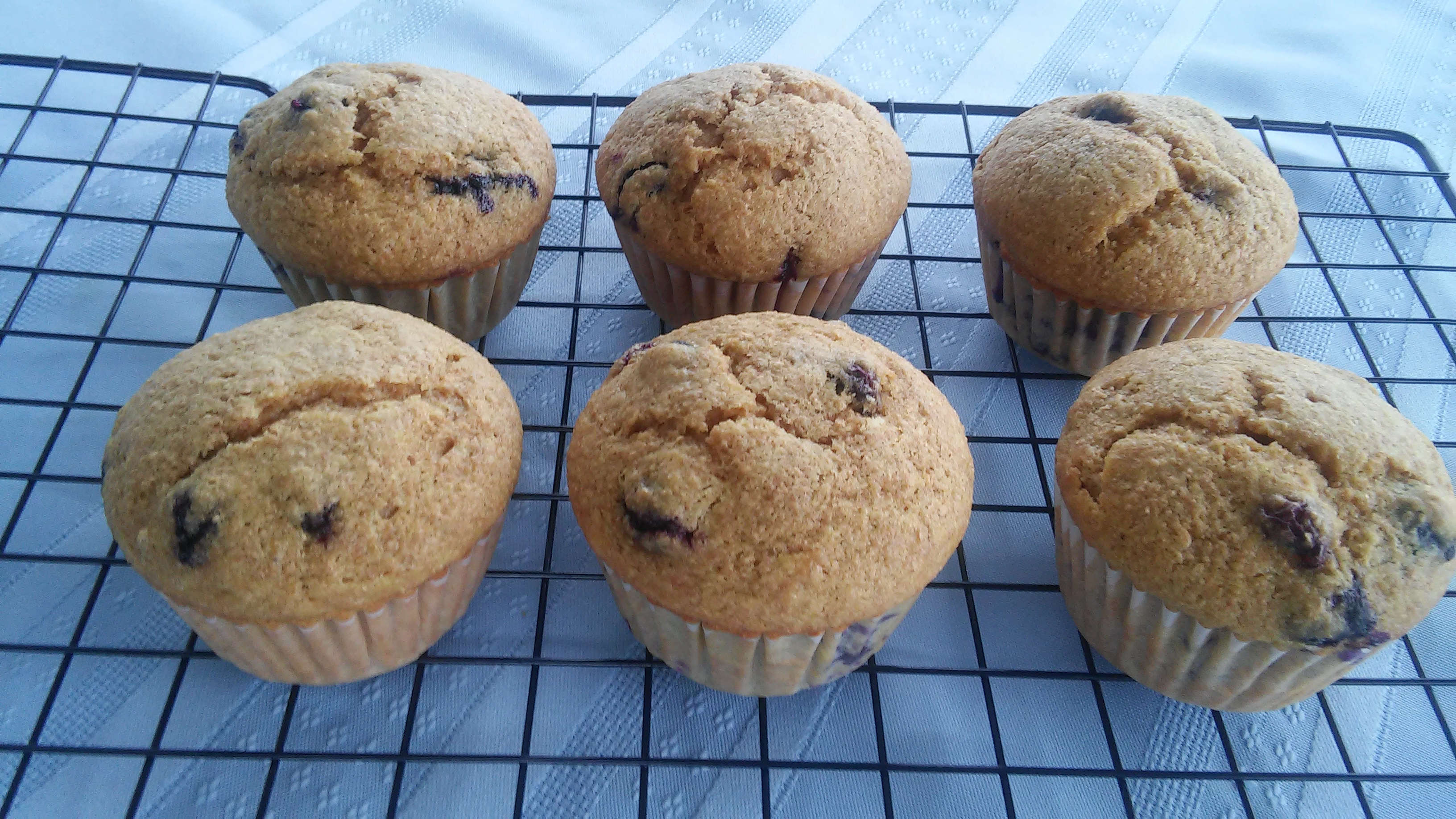 Quick Vegan Blueberry Muffins