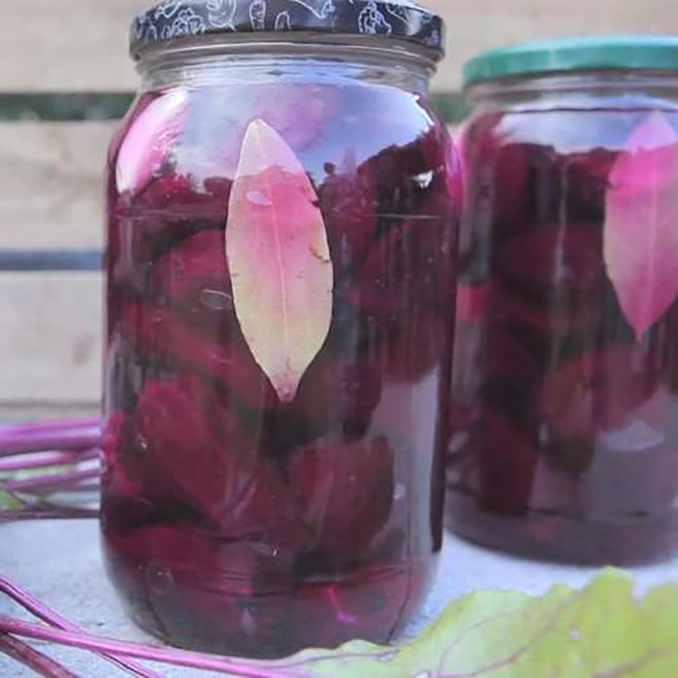 Raw Fermented Beets