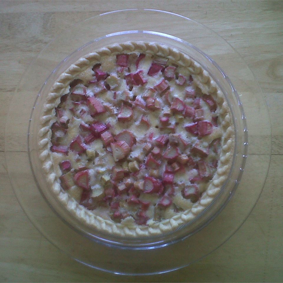 Rhubarb Pie - Single Crust