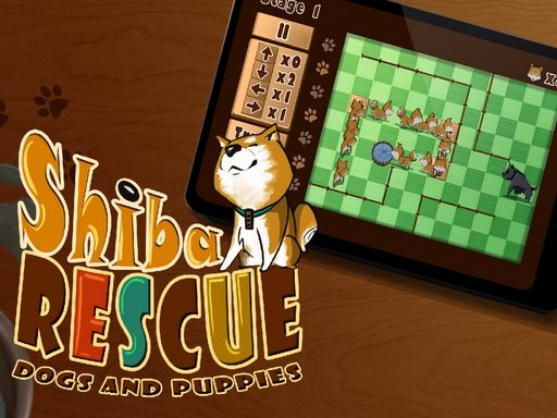 Shiba Rescue : Dogs and Puppies Online