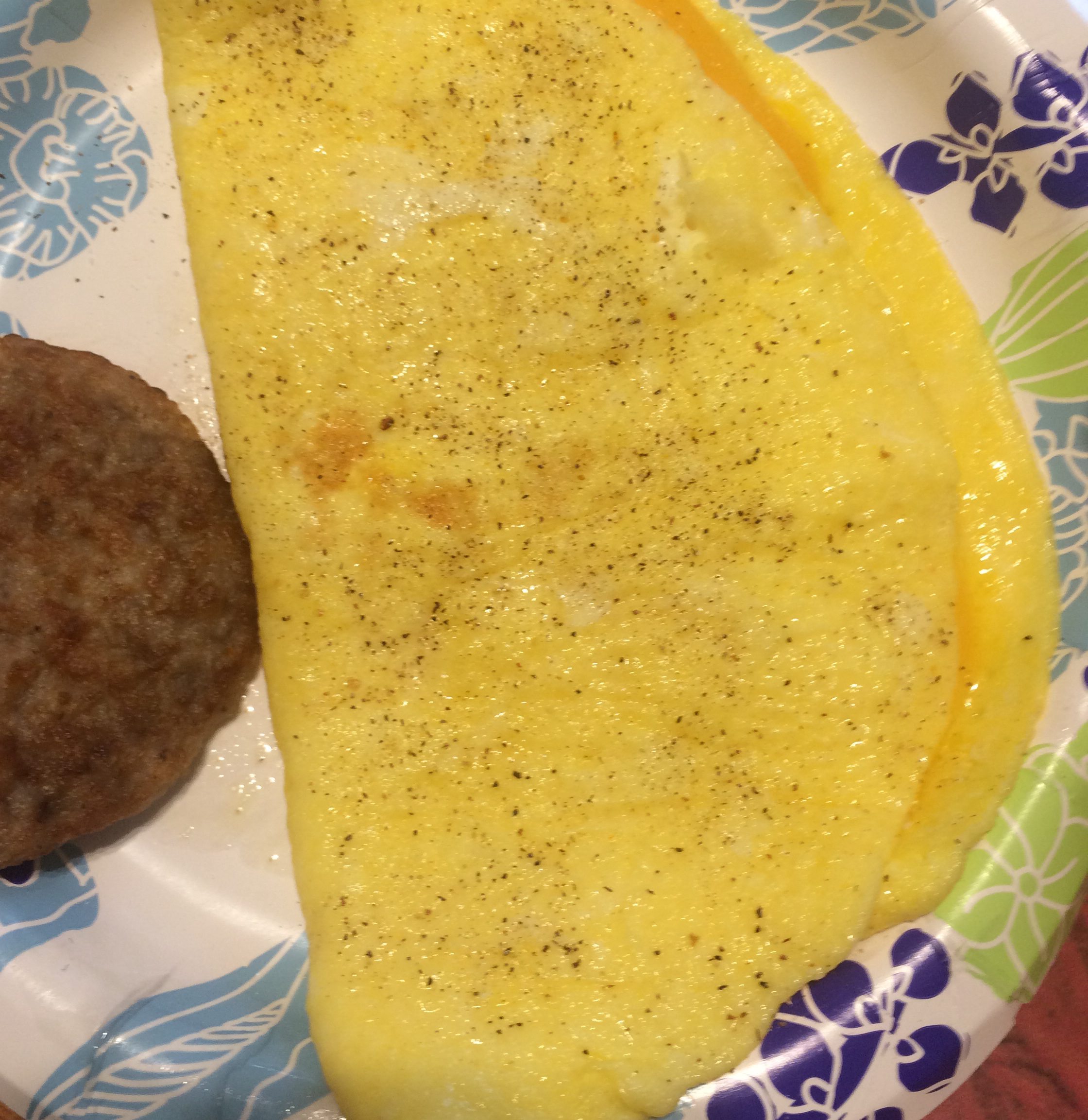 Smooth and Cheesy Omelet