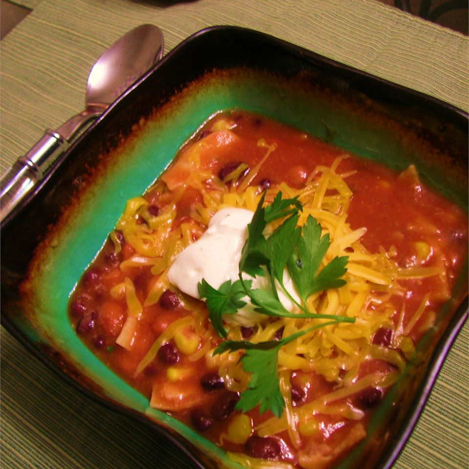 Vegetarian Tortilla Stew