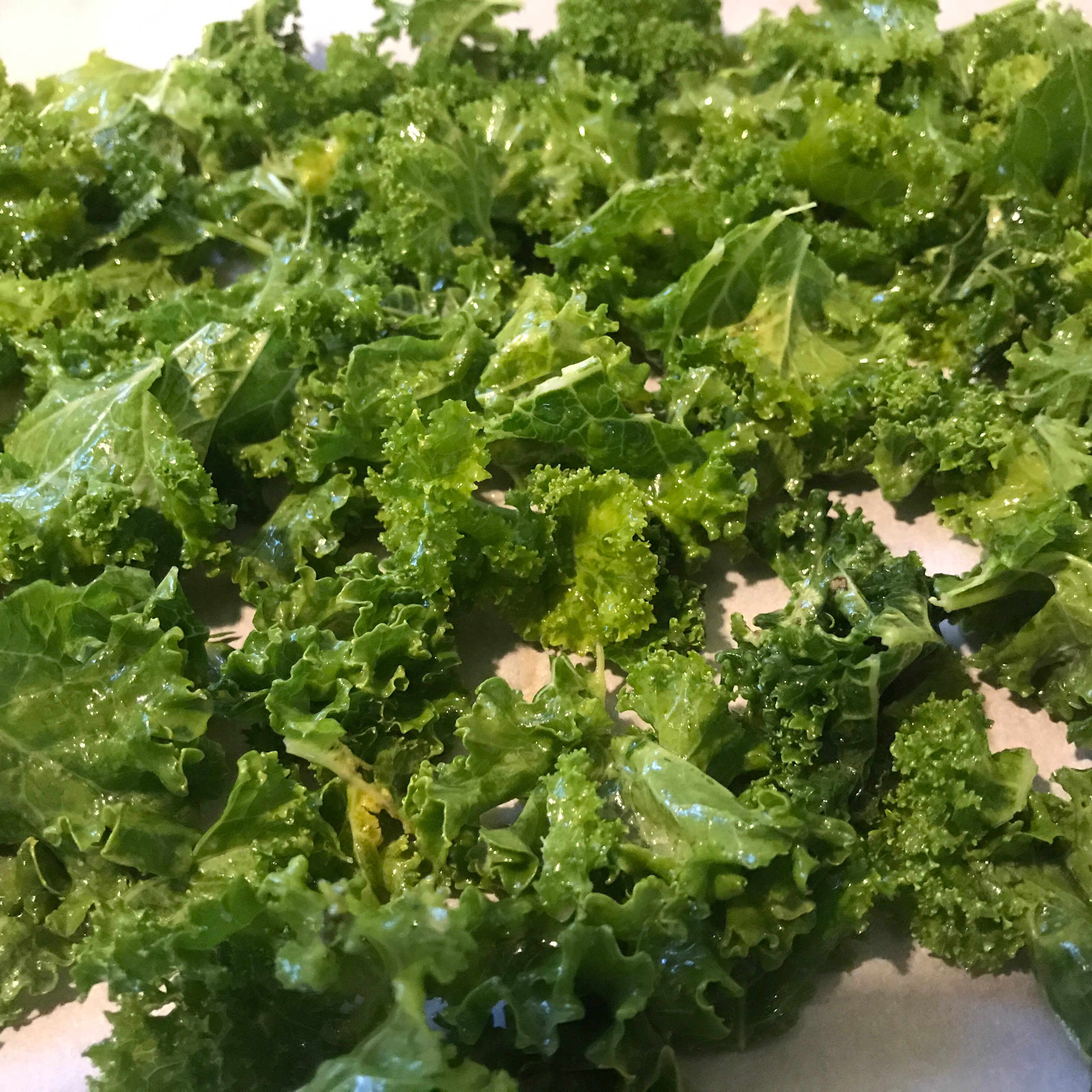 Veggie Kale Chips