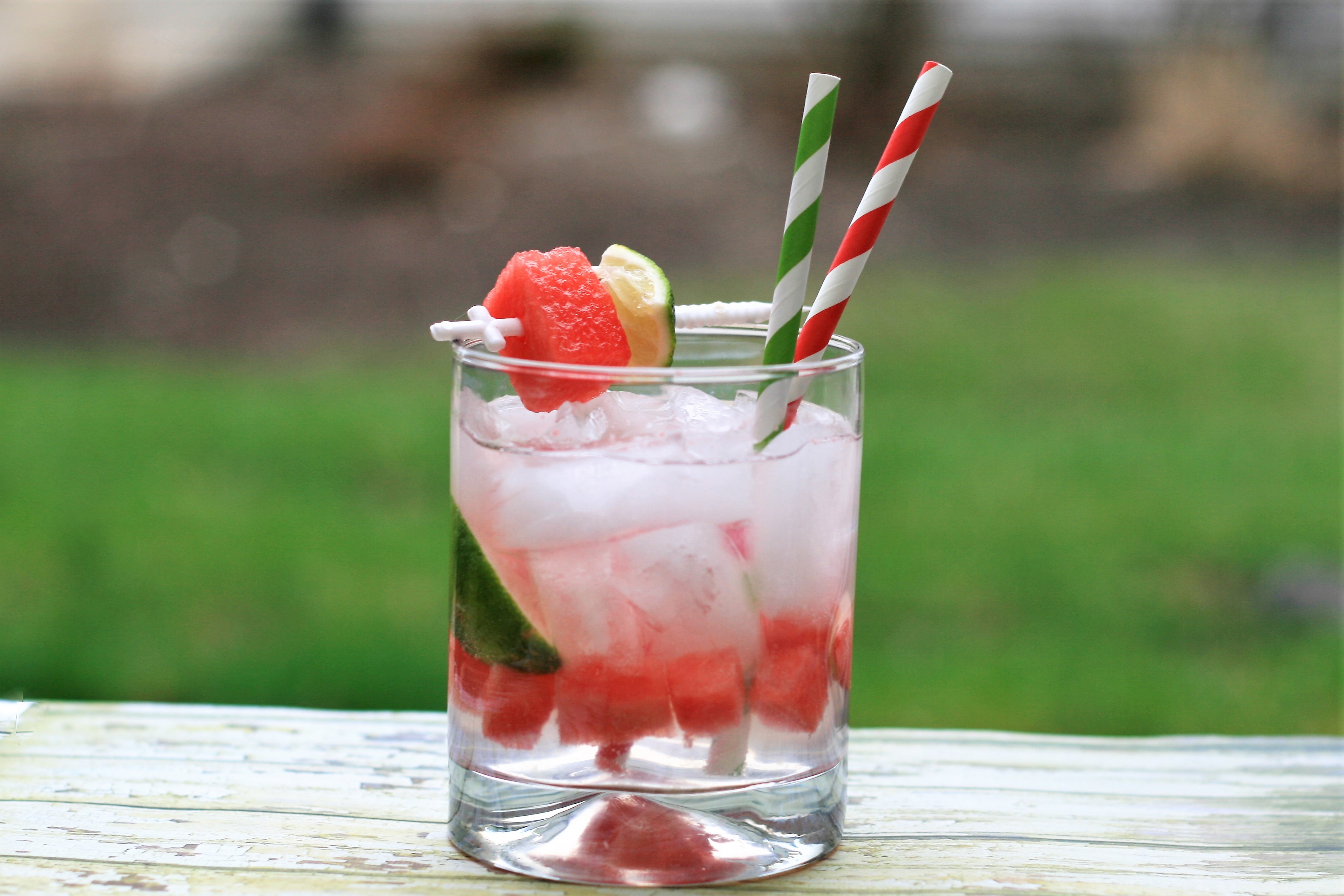 Watermelon Gin and Tonic