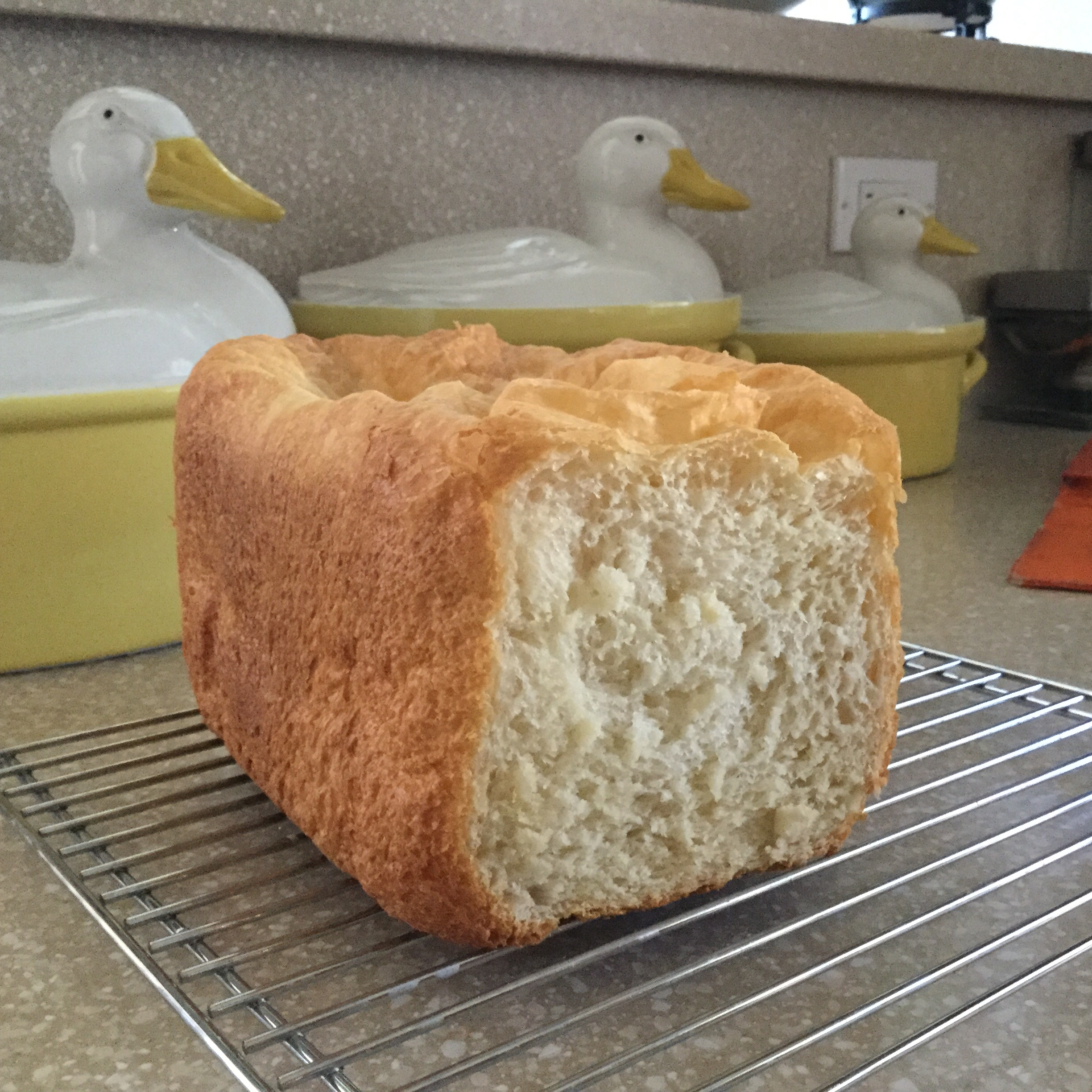 White Bread I