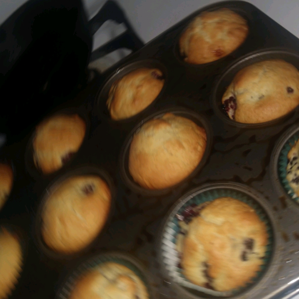 Wild Blackberry Muffins